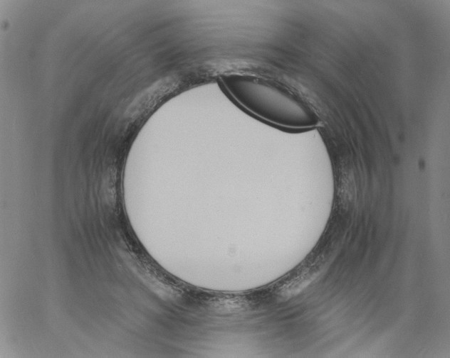 X0000060800402200512082155