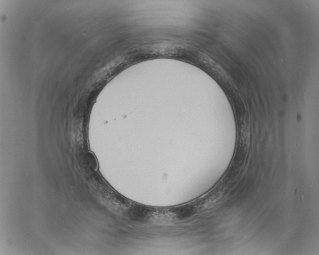 X0000060800403200512082155