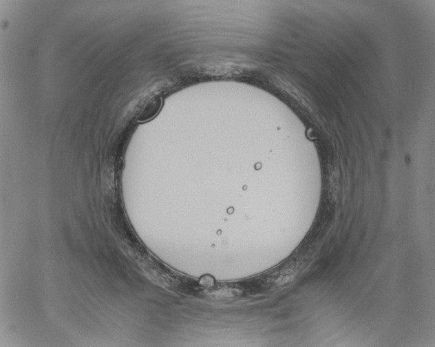 X0000060800407200512082155