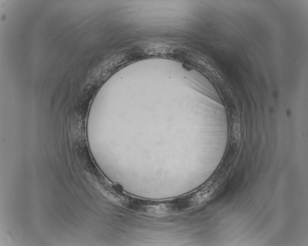 X0000060800411200512082155