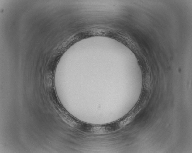 X0000060800413200512082155