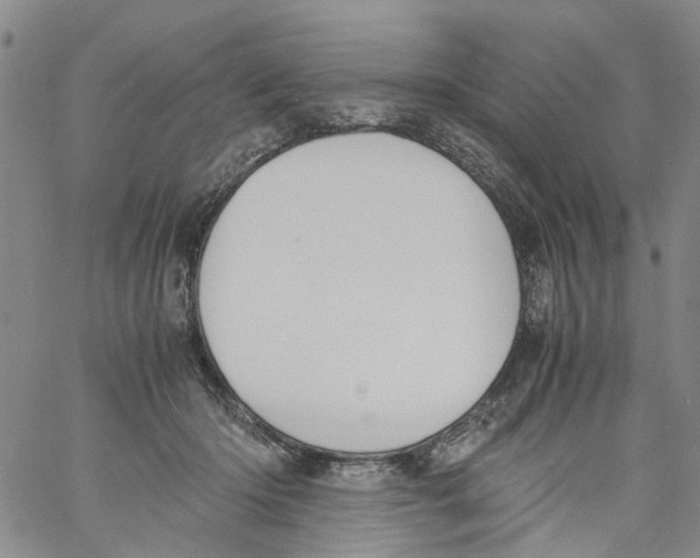 X0000060800414200512082155