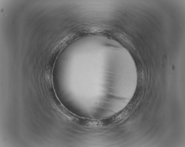 X0000060800415200512082155