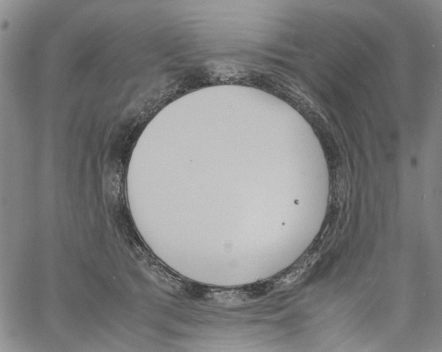 X0000060800417200512082155