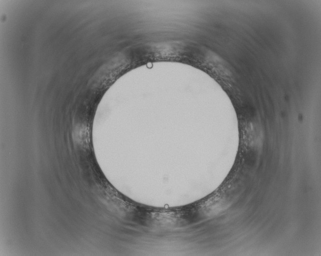 X0000060800419200512082155