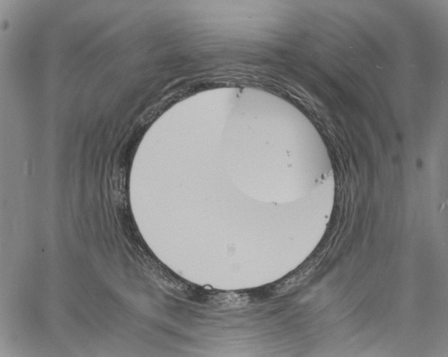 X0000060800421200512082155