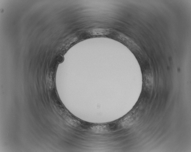 X0000060800422200512082154