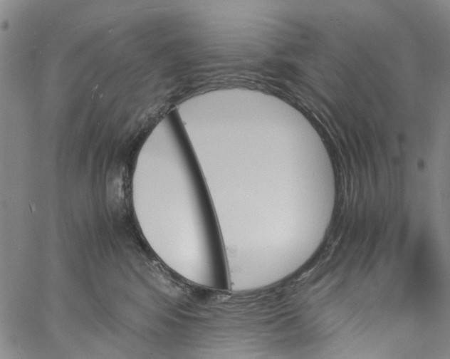 X0000060800424200512082154