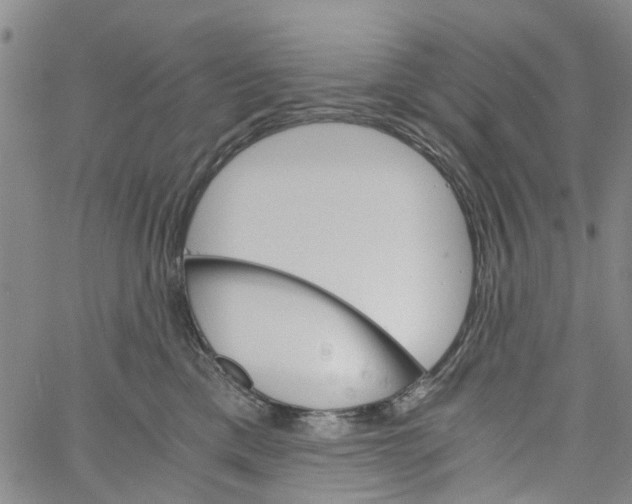 X0000060800425200512082154