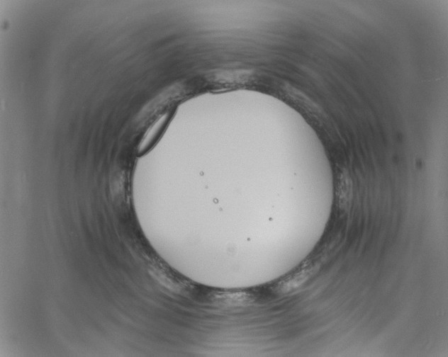 X0000060800428200512082154