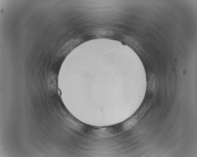 X0000060800430200512082154