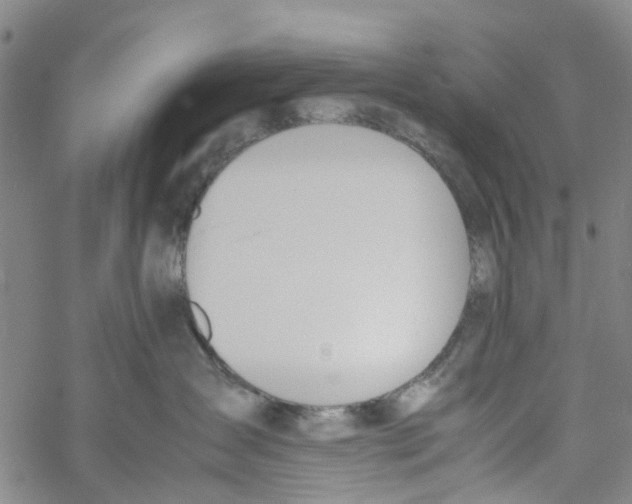 X0000060800431200512082154