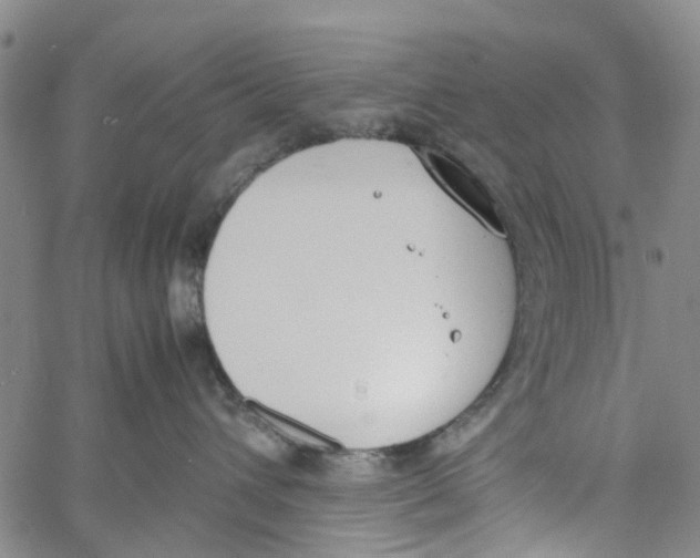 X0000060800432200512082154