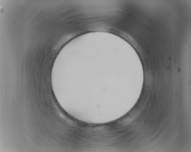 X0000060800433200512082154