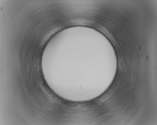 X0000060800434200512082154