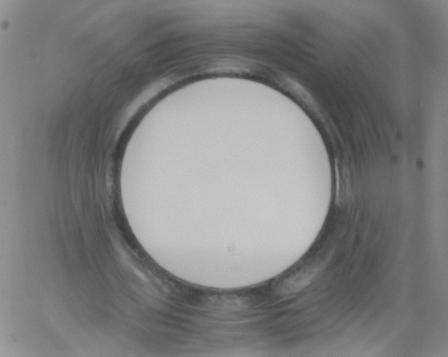 X0000060800435200512082154