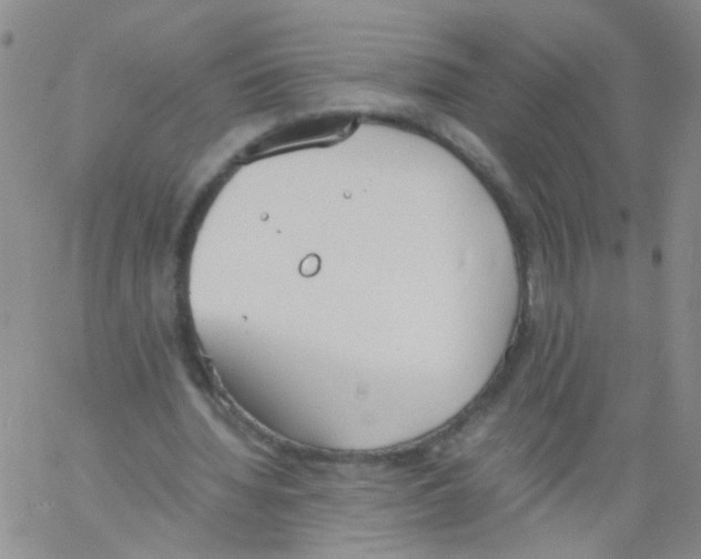 X0000060800436200512082154