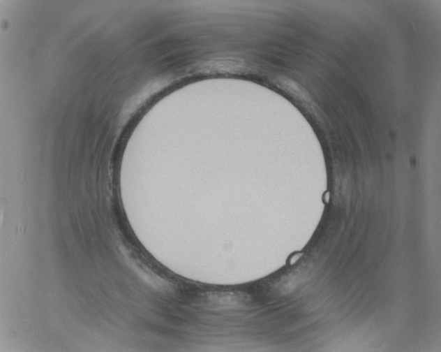 X0000060800439200512082154