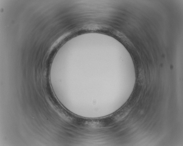 X0000060800440200512082154