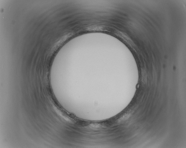 X0000060800441200512082154