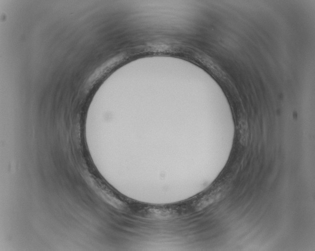 X0000060800442200512082154