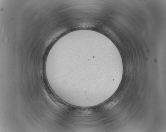 X0000060800443200512082154