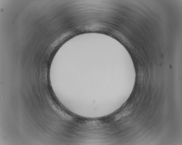 X0000060800446200512082154