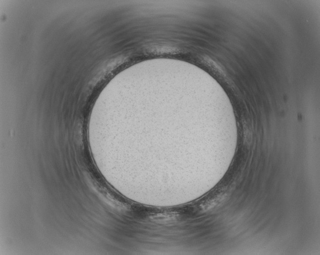 X0000060800447200512082154