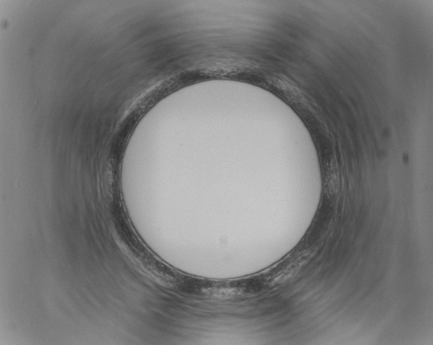 X0000060800448200512082154