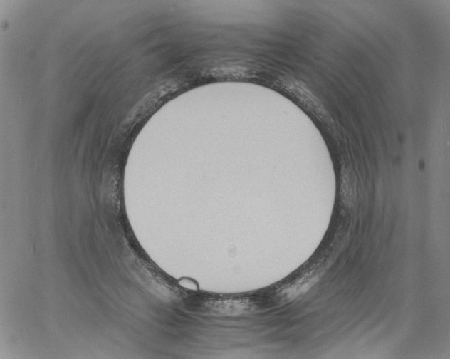 X0000060800449200512082154