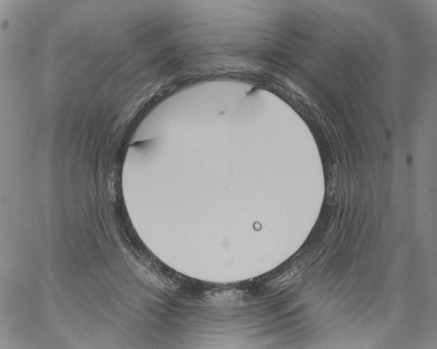 X0000060800452200512082154