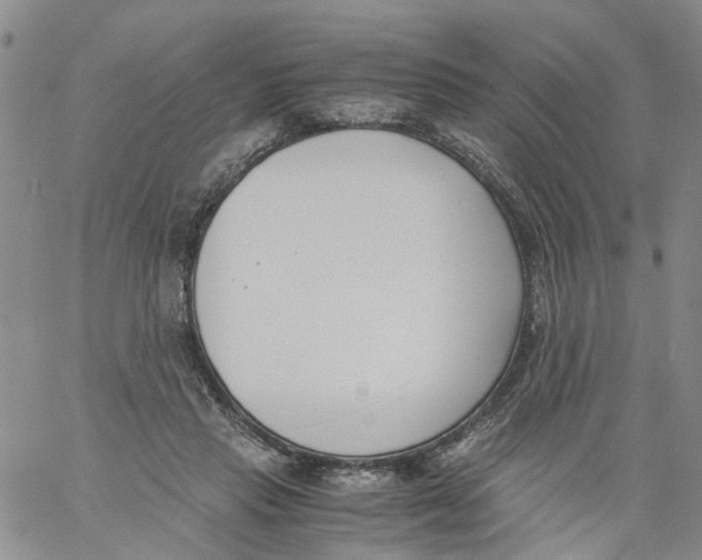 X0000060800453200512082154