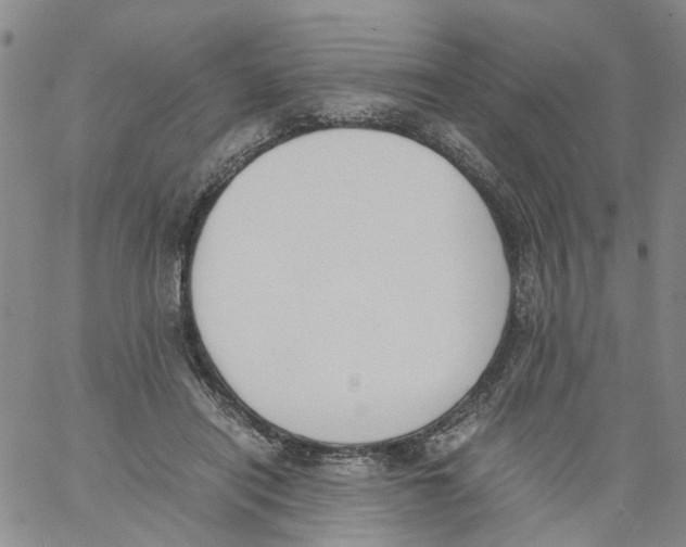 X0000060800454200512082154