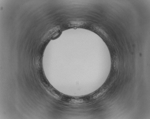 X0000060800455200512082154