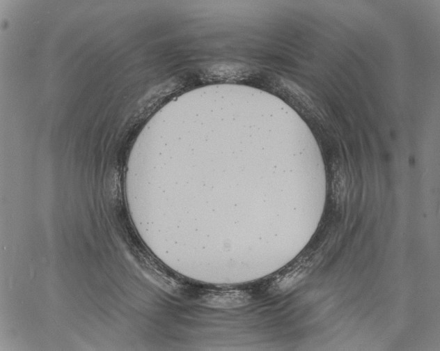 X0000060800459200512082154