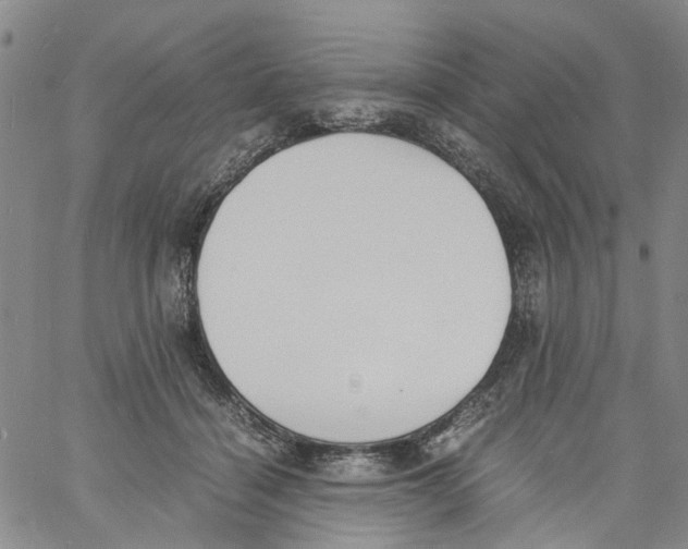 X0000060800460200512082154