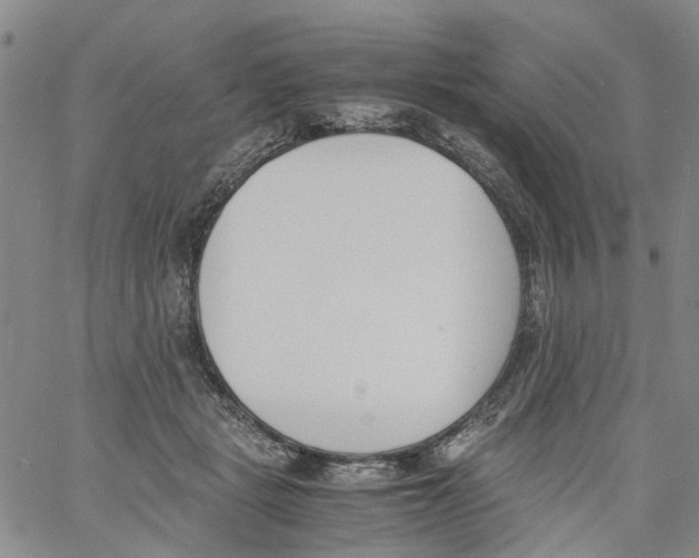 X0000060800461200512082154