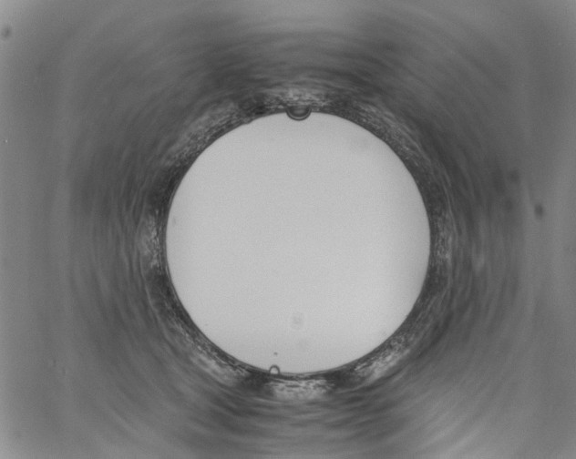 X0000060800465200512082154