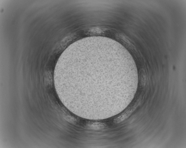 X0000060800467200512082154