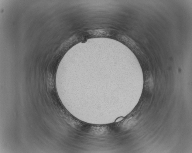 X0000060800469200512082154