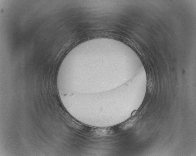 X0000060800473200512082154