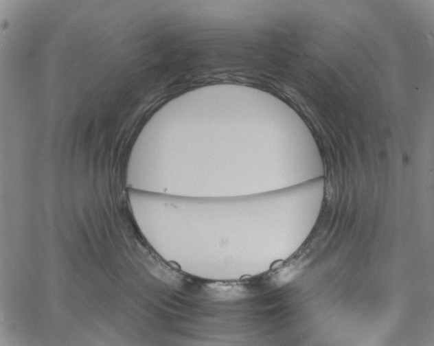 X0000060800477200512082154