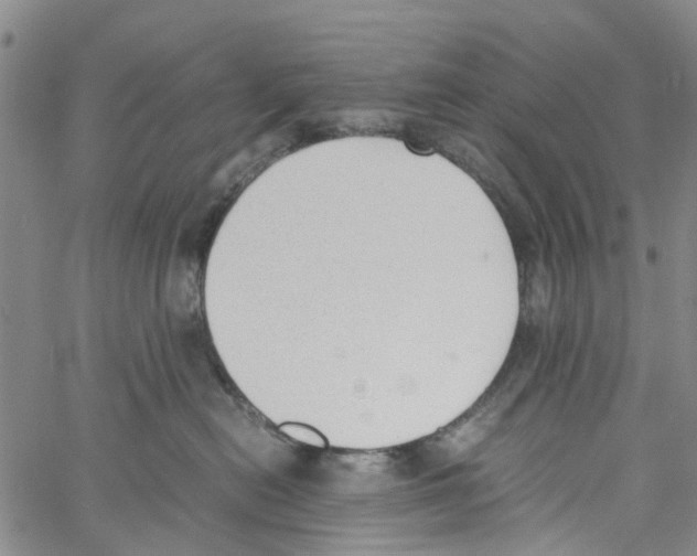 X0000060800478200512082154