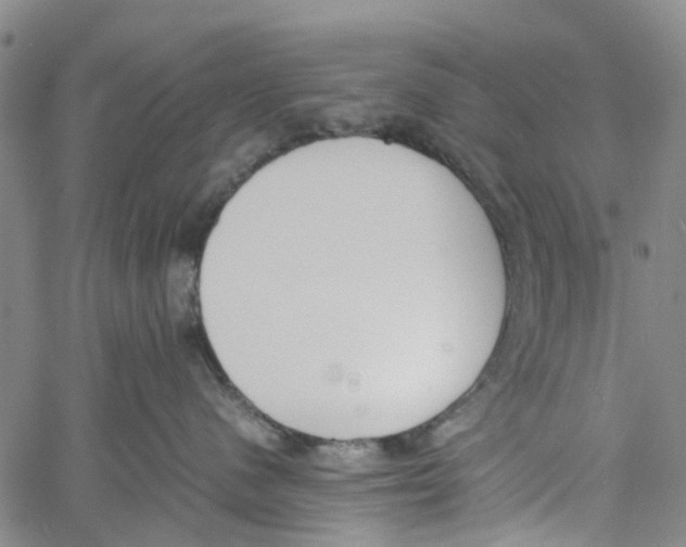 X0000060800480200512082154