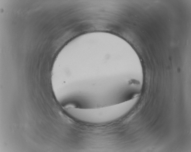 X0000060800481200512082154