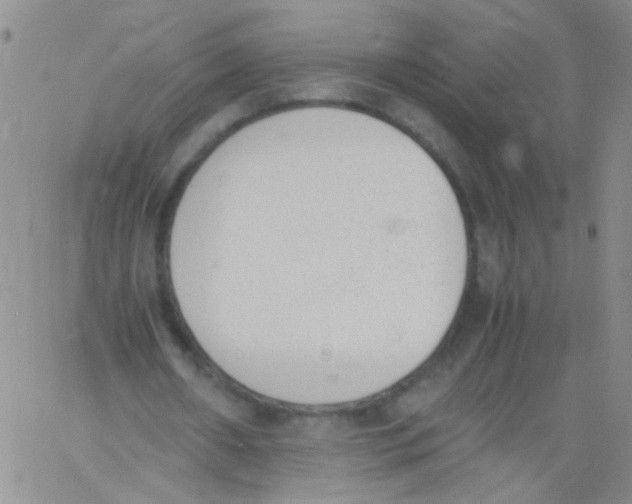 X0000060800482200512082154