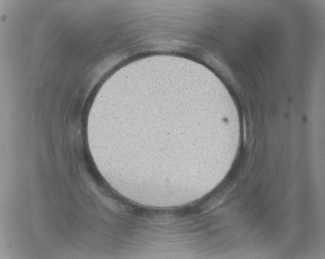 X0000060800483200512082154