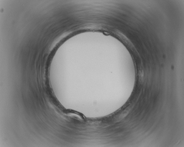 X0000060800484200512082153