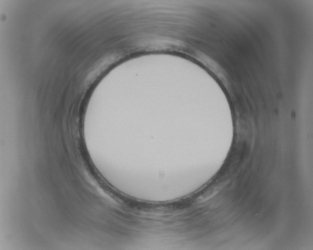 X0000060800485200512082153