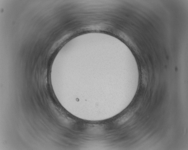 X0000060800486200512082153